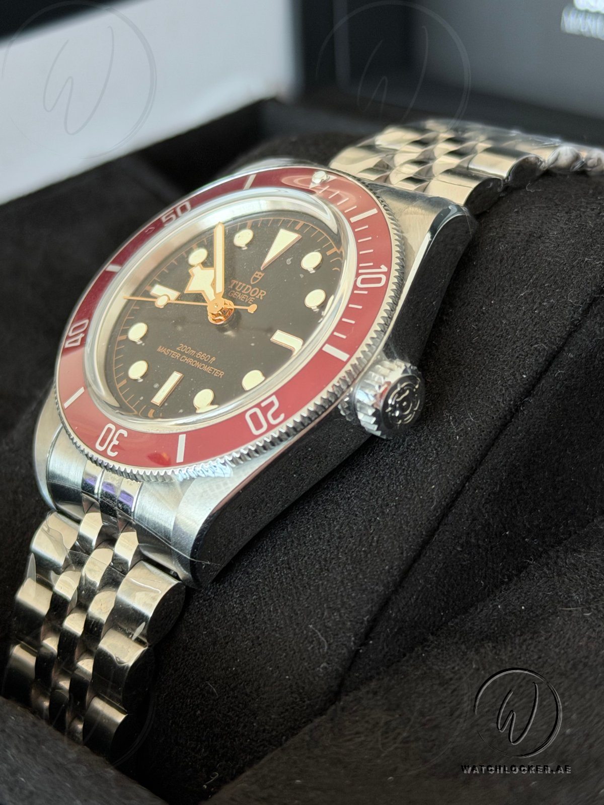 Tudor Black Bay